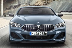 BMW 8 sērija G15 Kupeja 2018 - 2022 foto 5